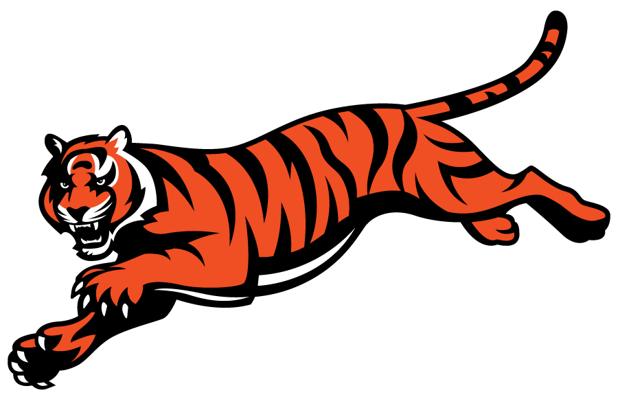 Cincinnati Bengals 1997-Pres Alternate Logo fabric transfer